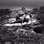 Plain Mister Smith shares ‘Dream Gigantic’ with Findlay Brown & Krystle Dos Santos